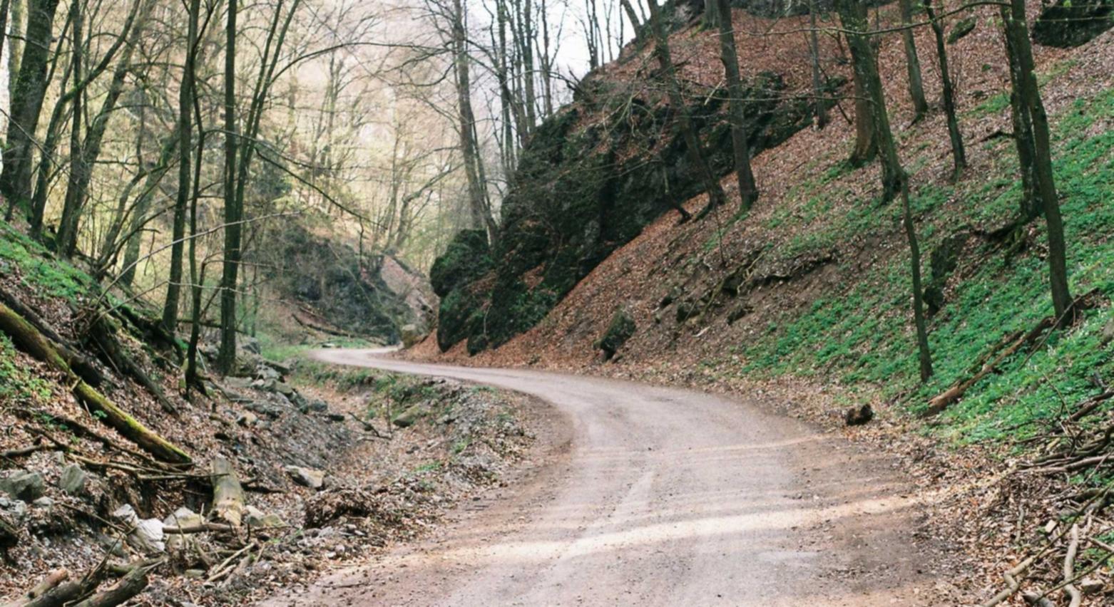 在线DDOS压力测试网页端|网友总要求我去注册账号