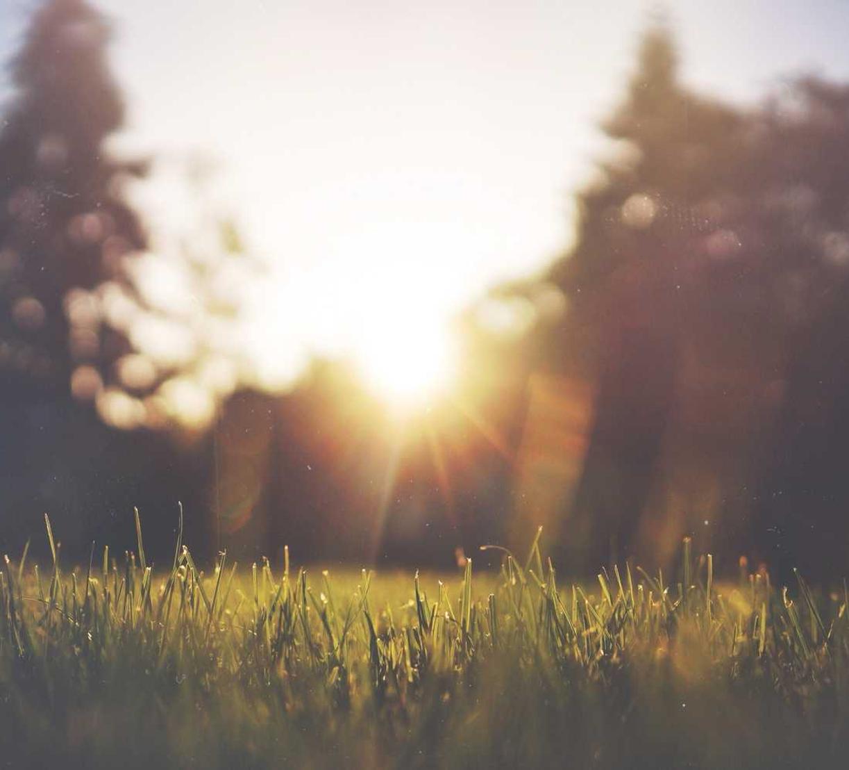 豪利时薄荷双爆珠(细):淮安工商注册代理记账服务