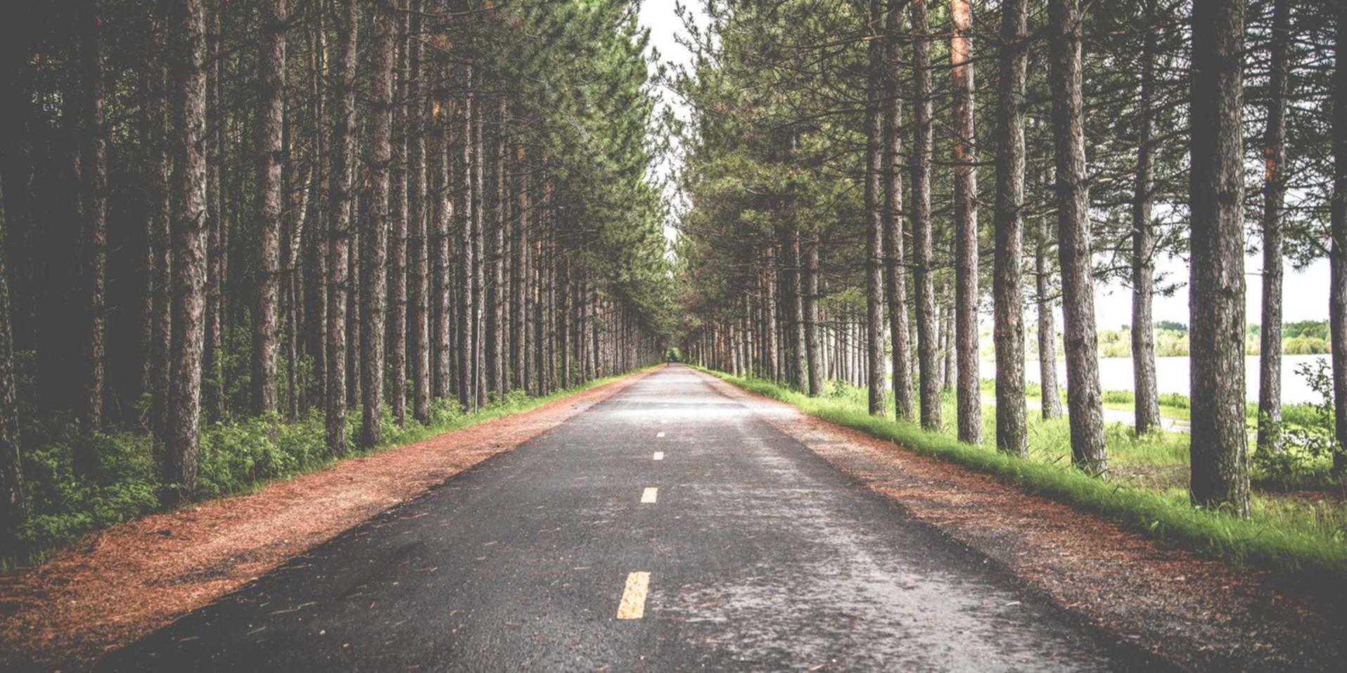 微信号码批发:山西公司注册代理推荐书籍