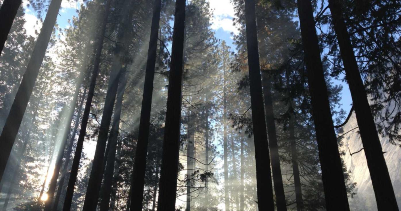 DDOS压力测试网页端|全国工商注册代理 长沙