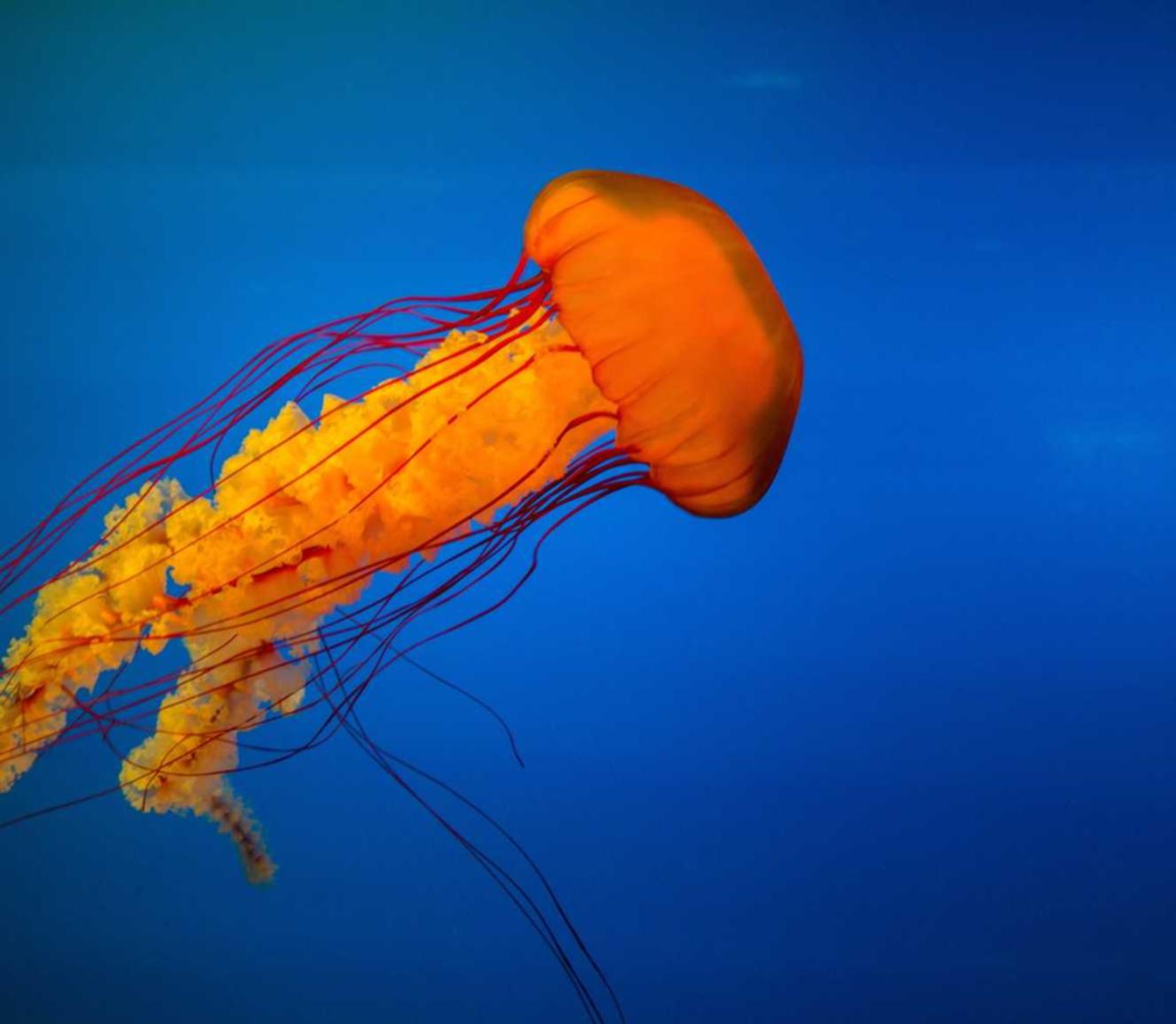 海航通信实名账号:代理注册公司贵阳