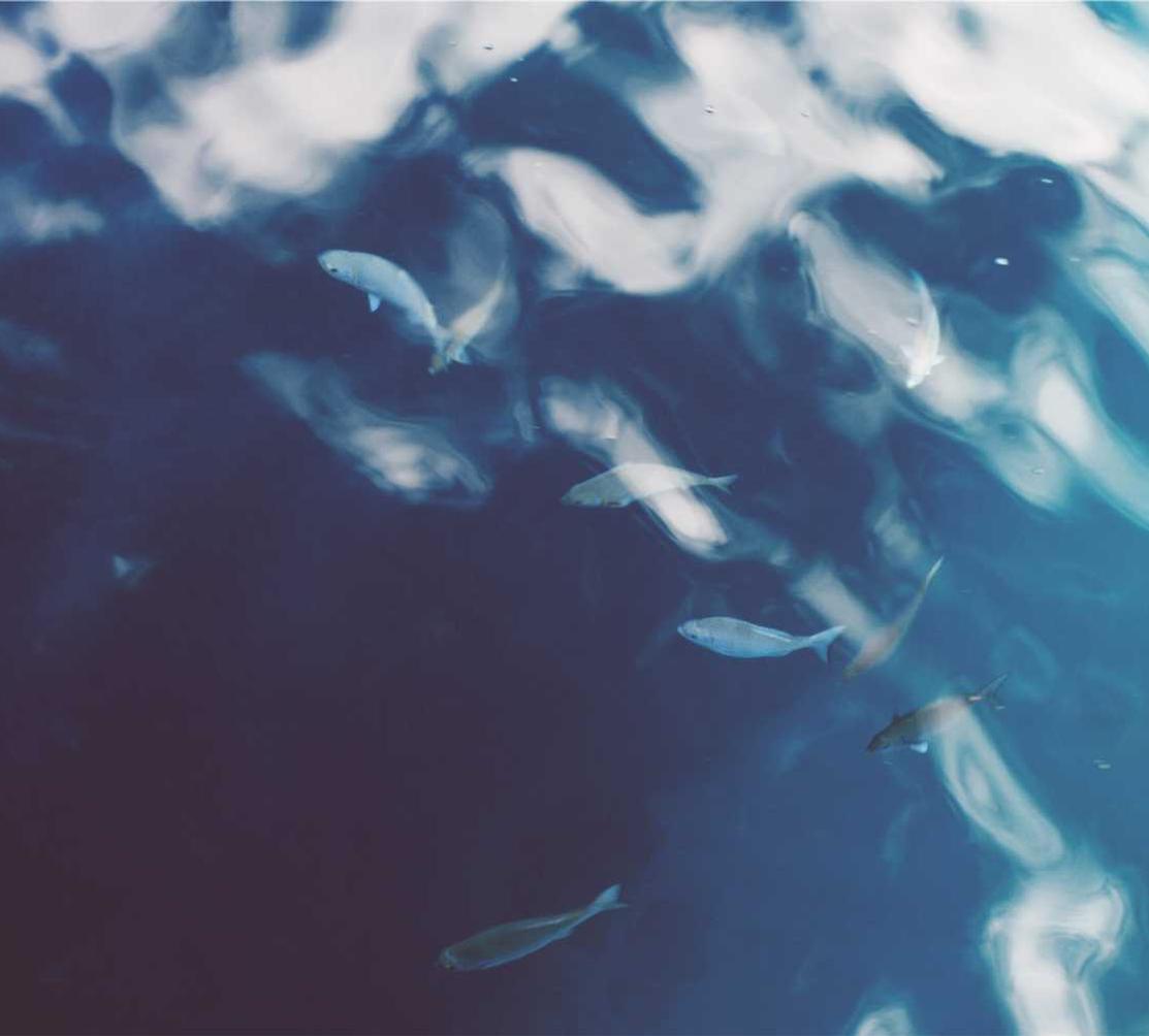 DDOS在线压力测试|求美国谷歌商店账号注册