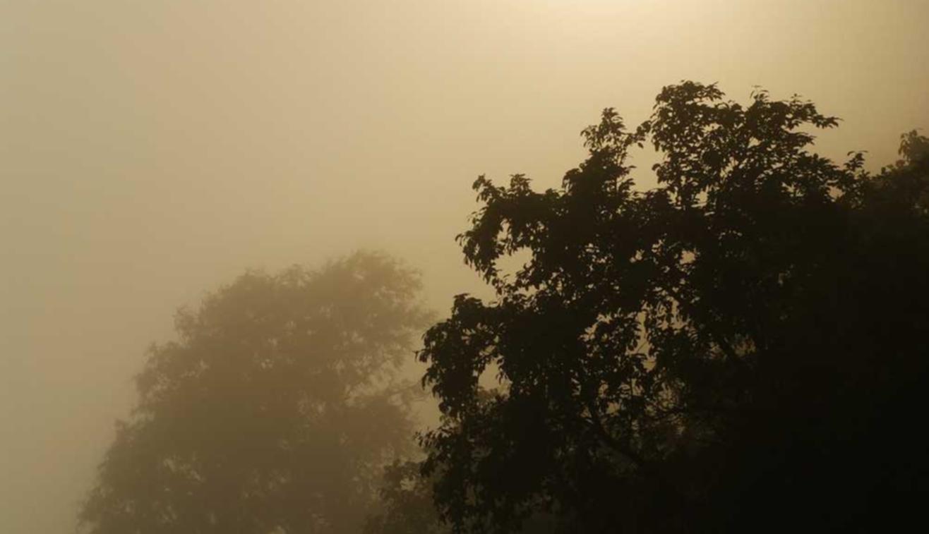 爱游戏,注册|互动视频的使用在网络营销中的重要性