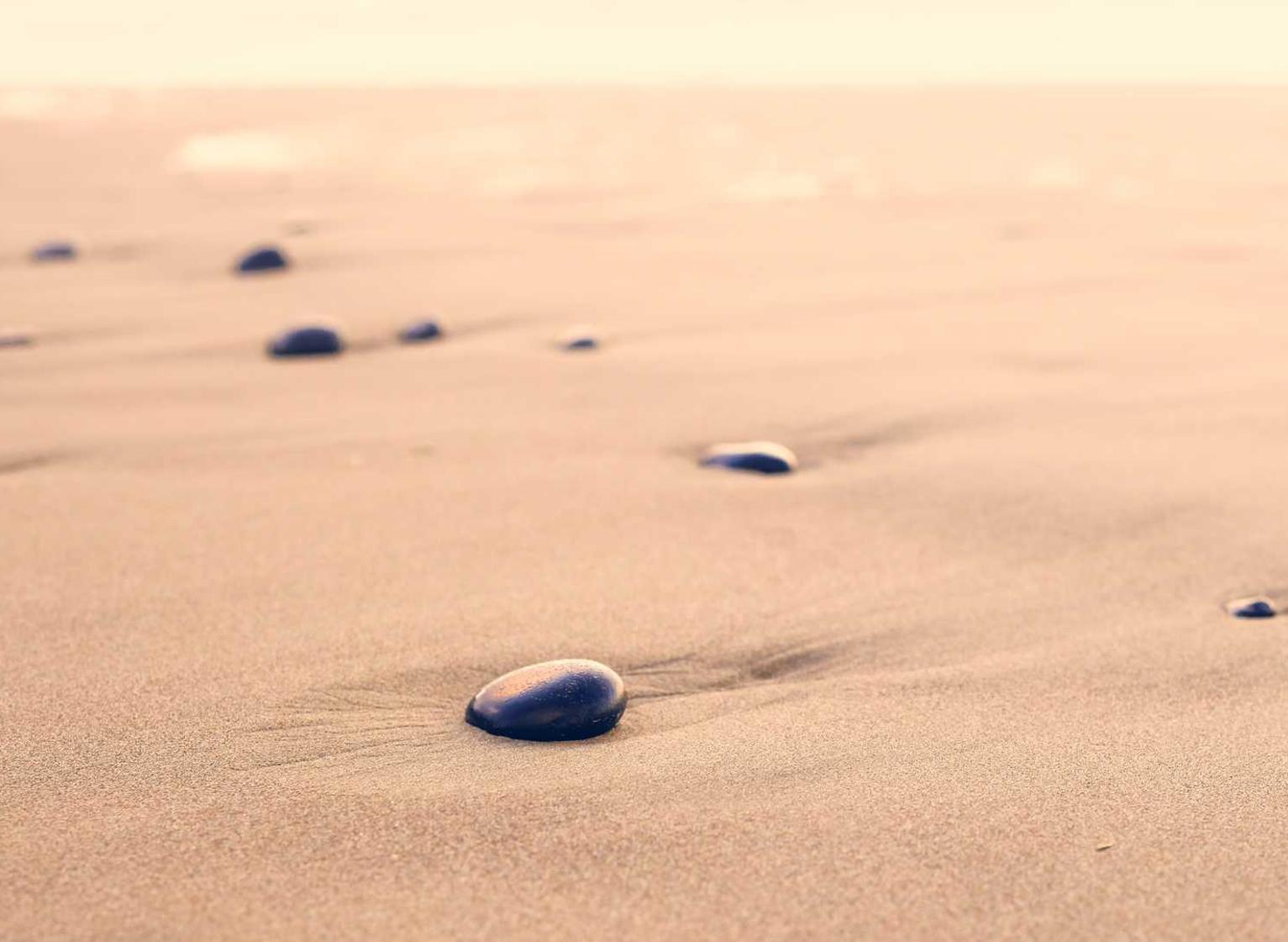 丰信移动实名账号：苍南注册公司代理记账