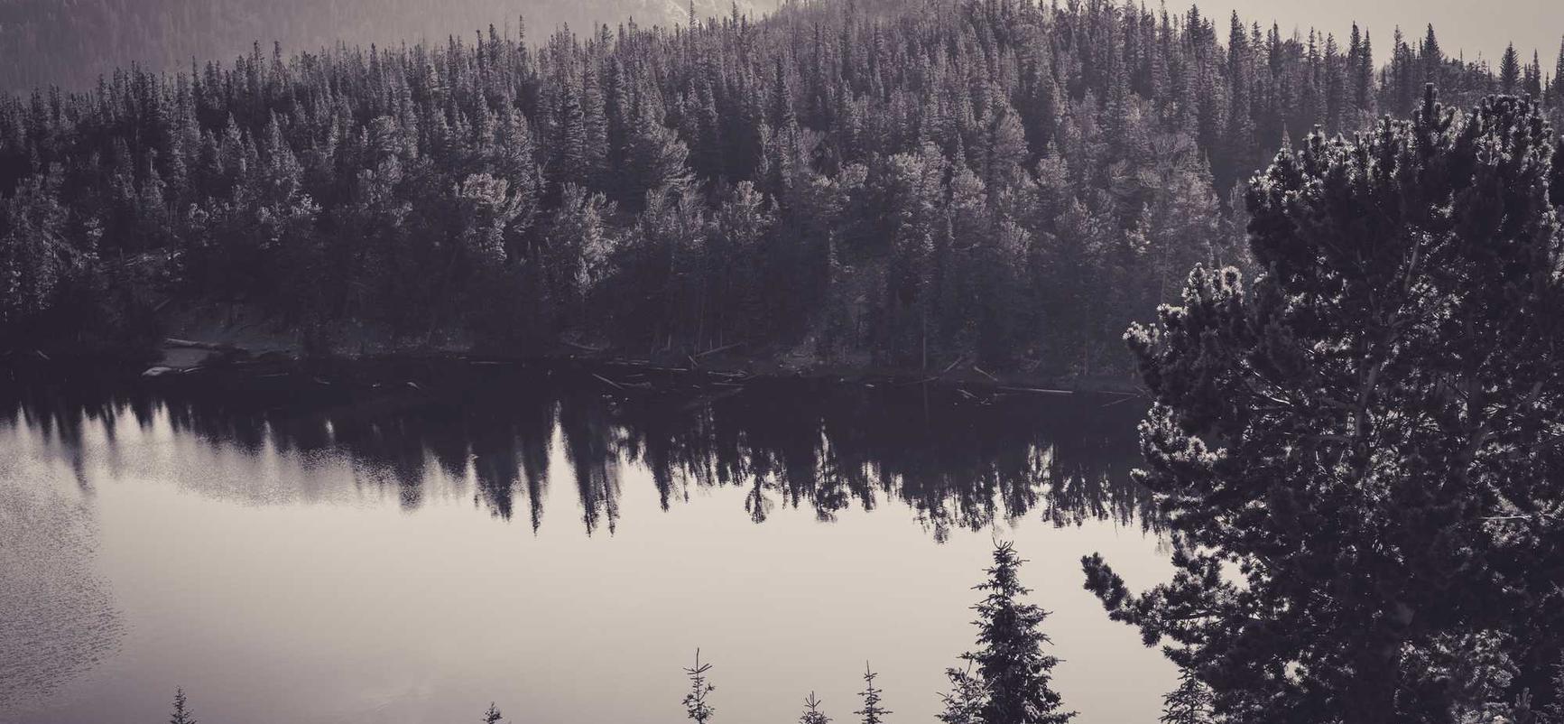 宝塔实名账号：仙游代理公司注册