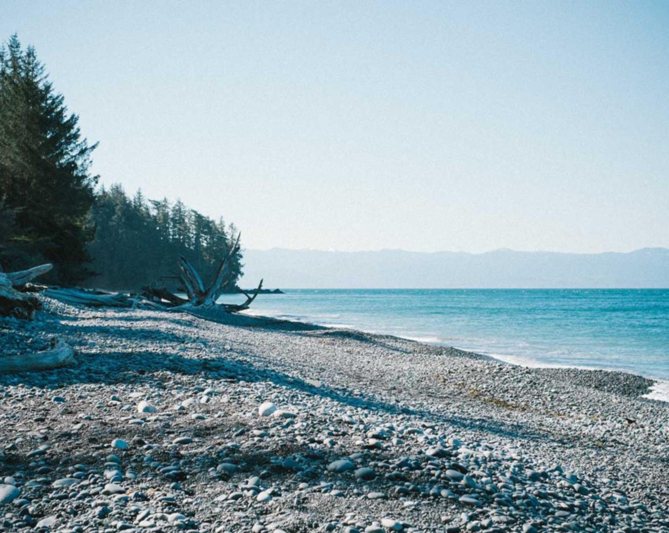 枪神纪：直播辅助软件代理平台