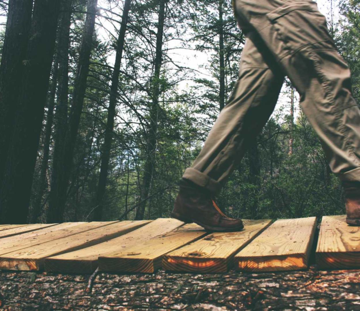 香烟和膀胱癌的关系