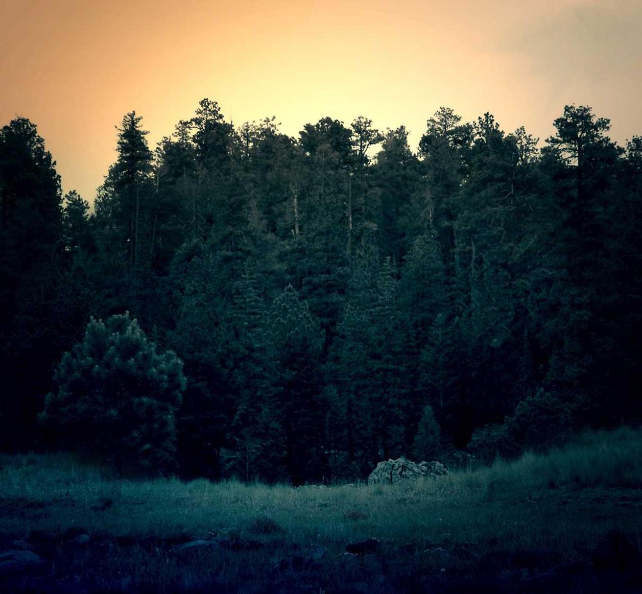 买微信号：小区问问app详情下载教程