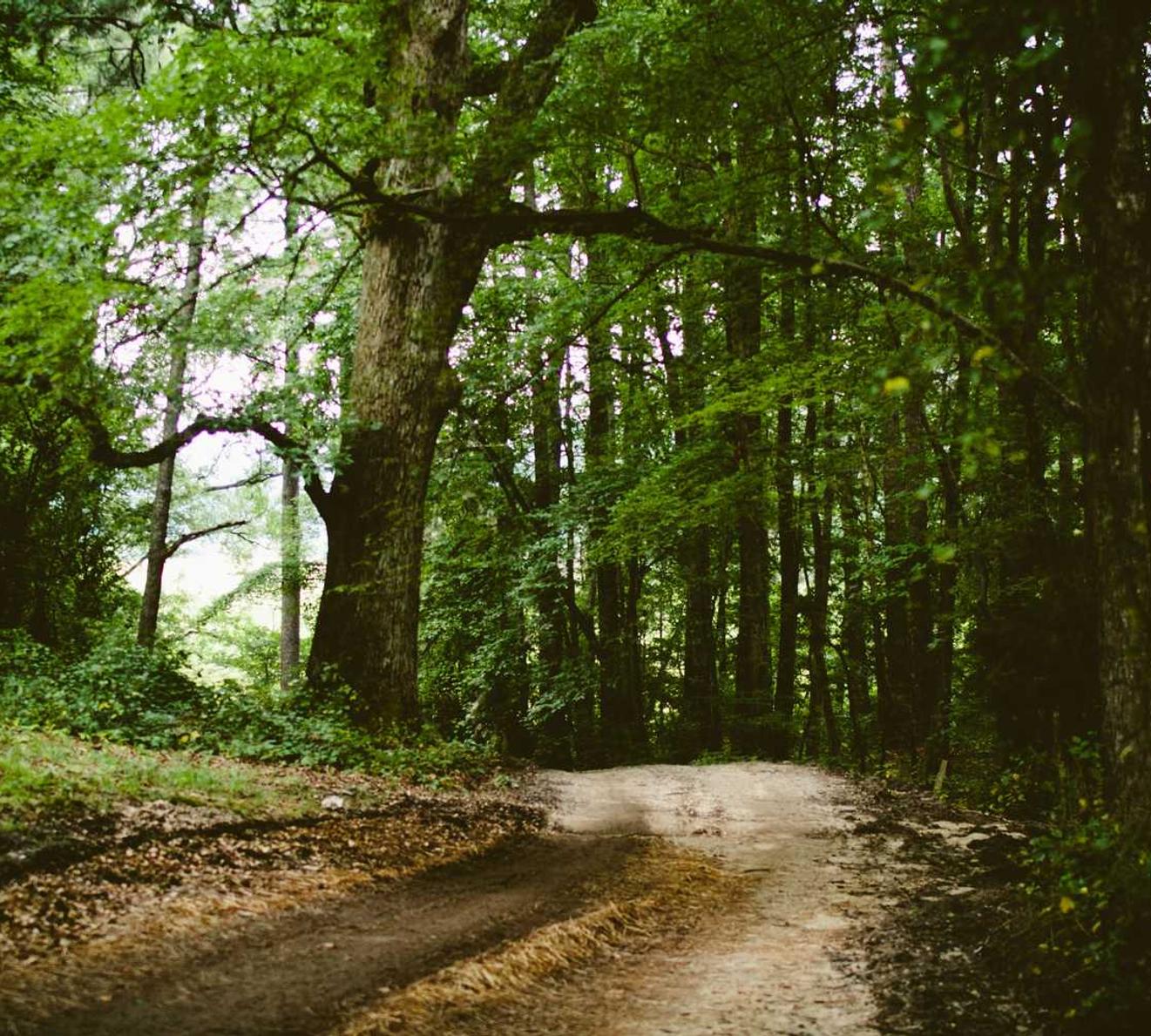 腾讯云账号代实名实名账号：健身用品购买平台