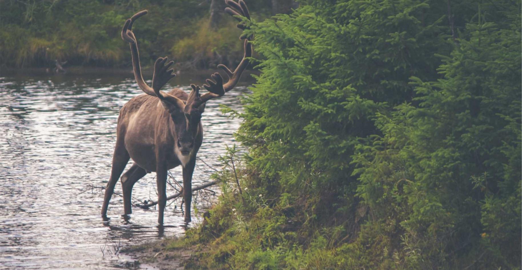 支付宝号买卖:企业如何注册头条账号
