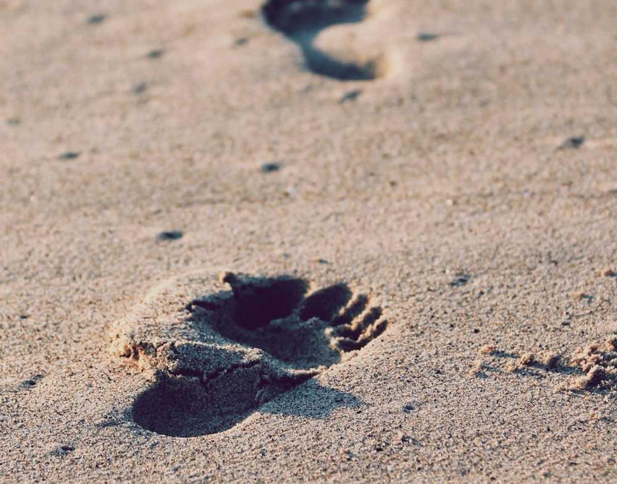 铁塔猫冰果爆珠(粗):国外网站注册账号会收费吗