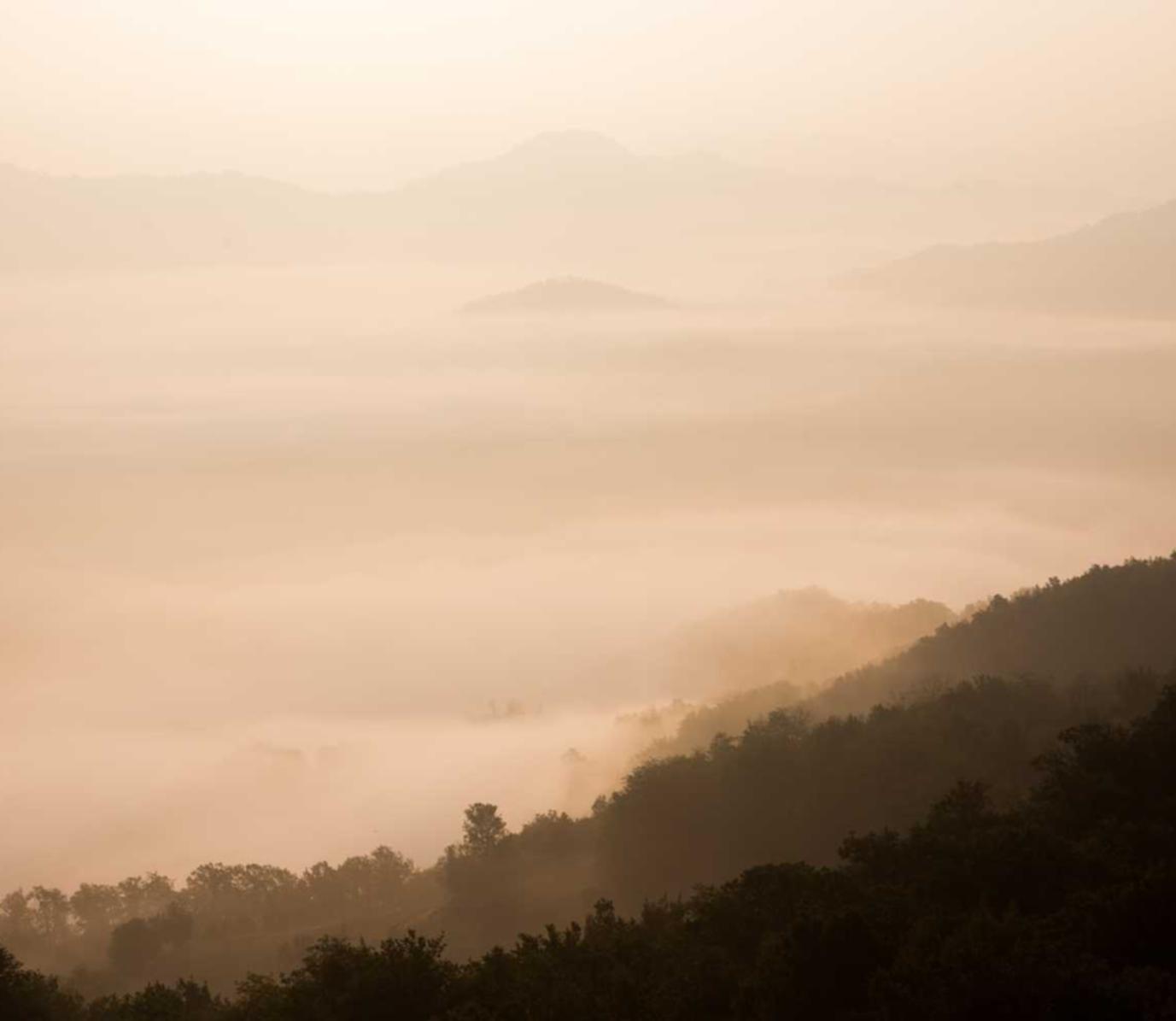 游戏技术支持制造者在哪些地区较为密集 