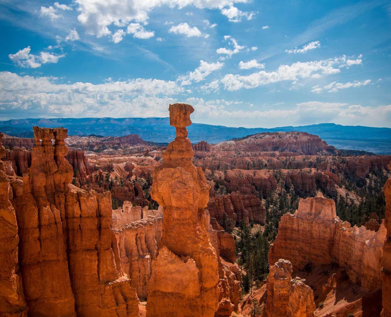 免费攻击网站|代驾平台可以代理