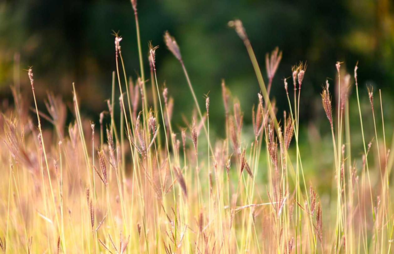“短信如何更好地服务于用户?”