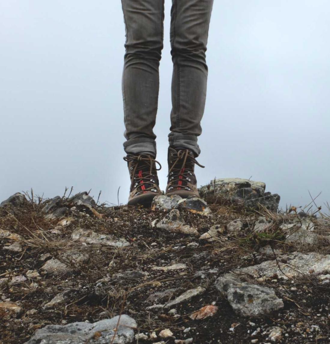 出口荷花(软):游戏fan客户端app详情下载教程