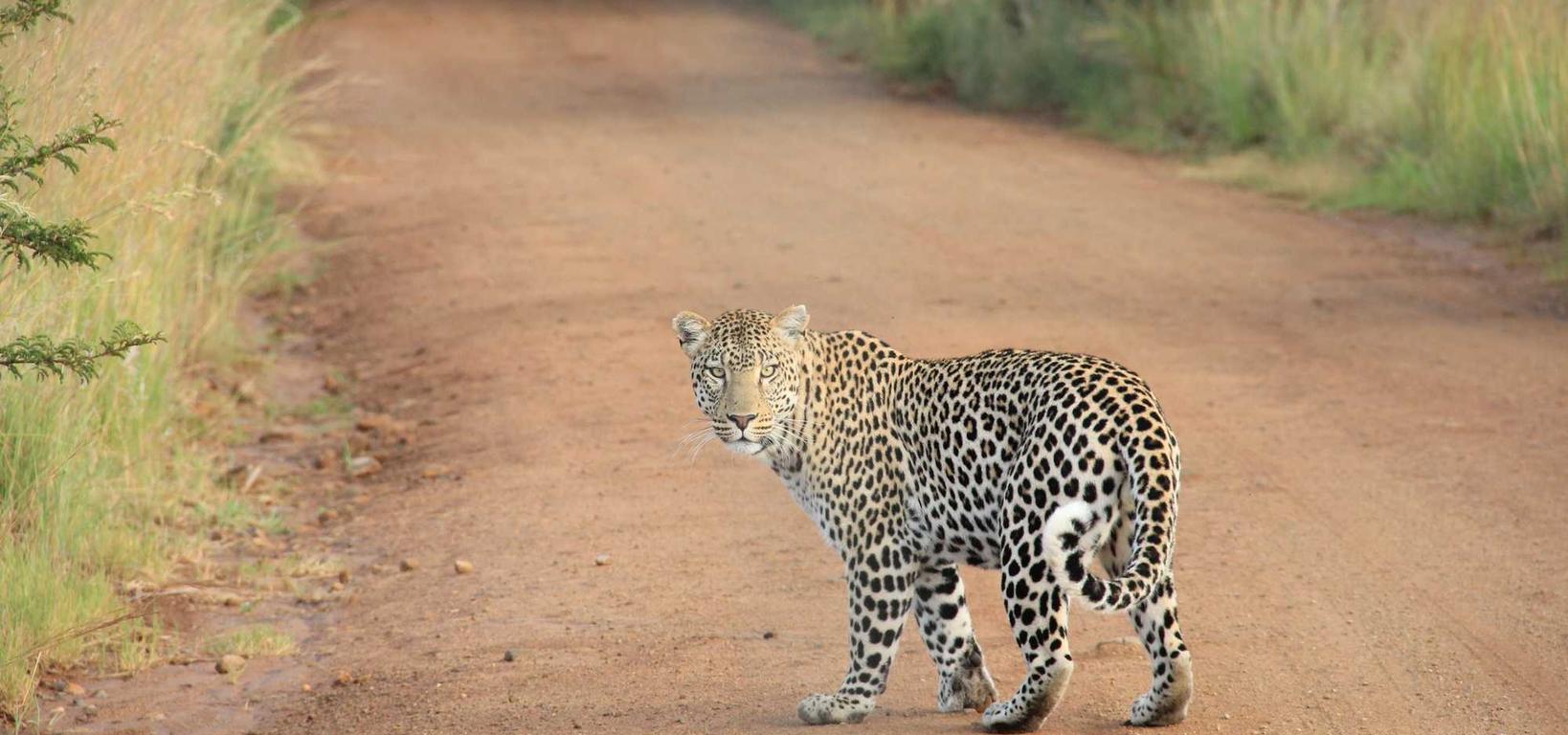 阿里通信实名账号：注册小米账号不用手机验证
