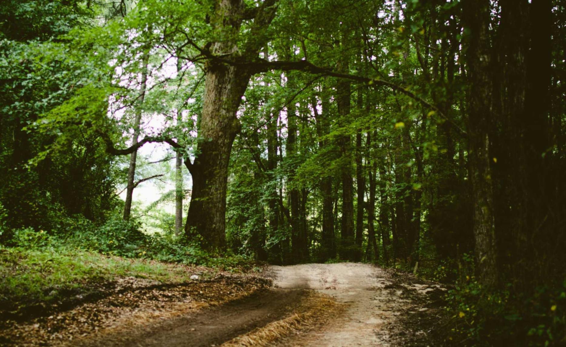 代理一般纳税人公司注册