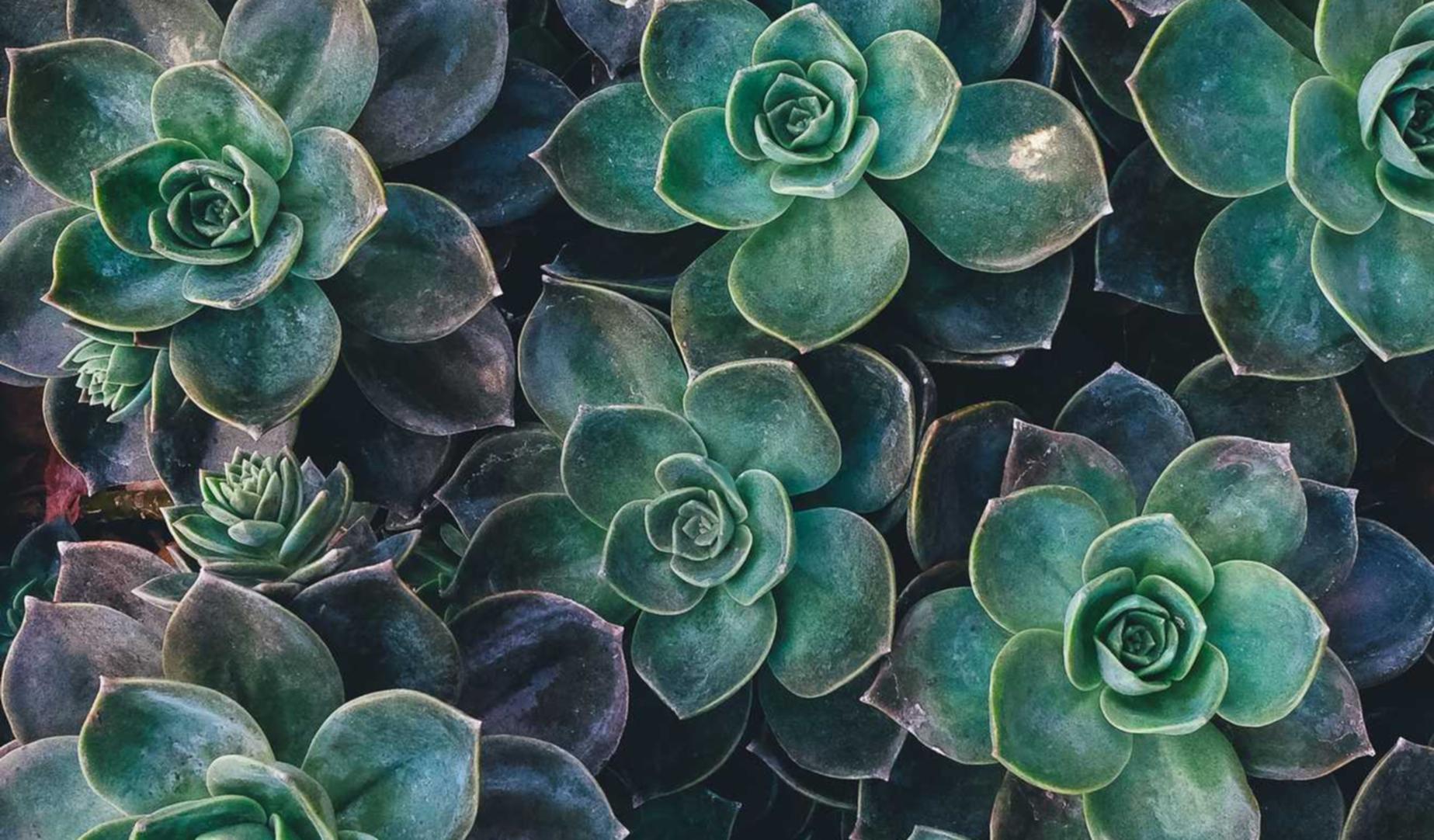 微信实名账号：实名制是否对言论自由产生了影响？