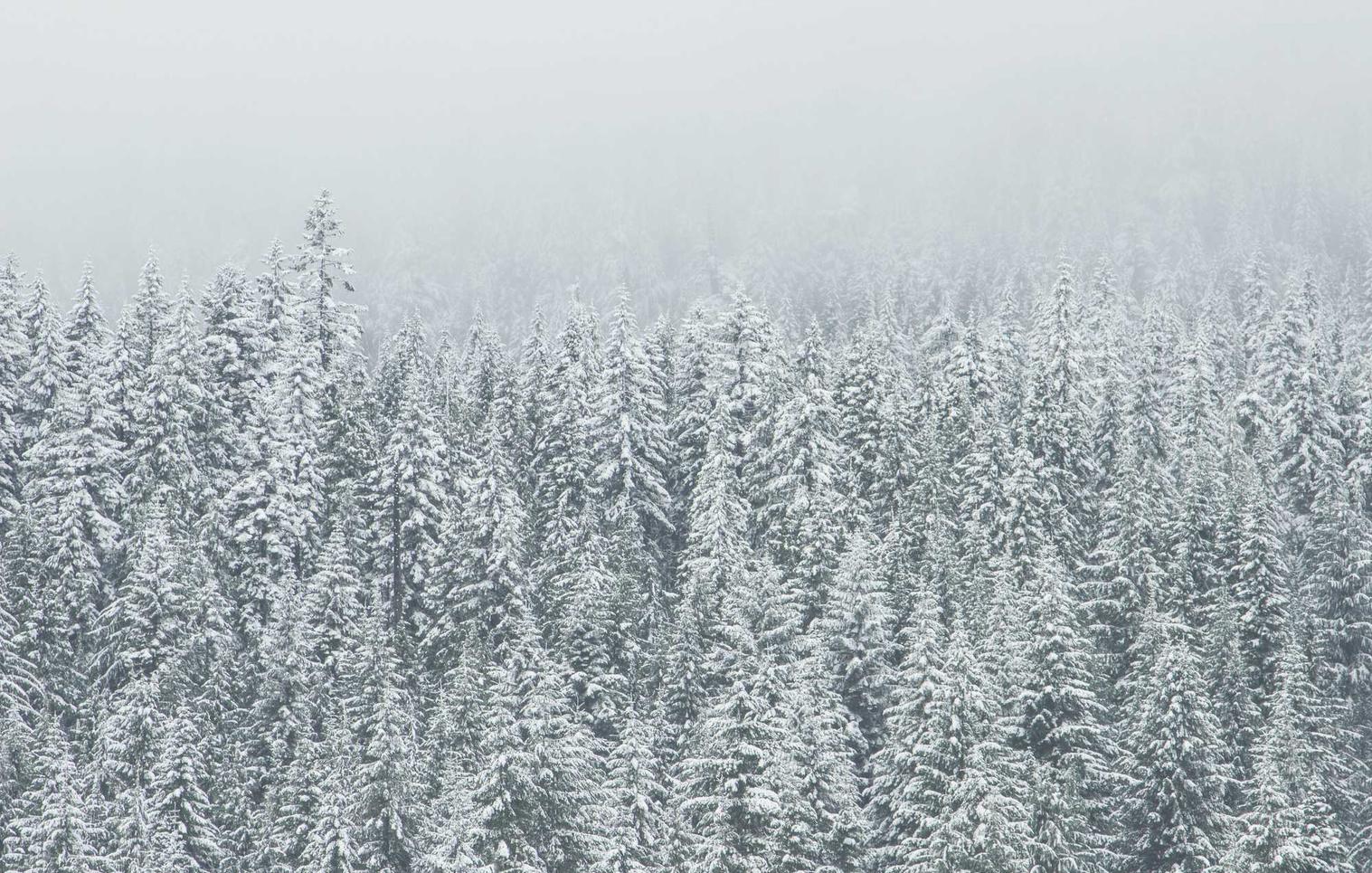 VX账号买卖:茅台积分购买平台