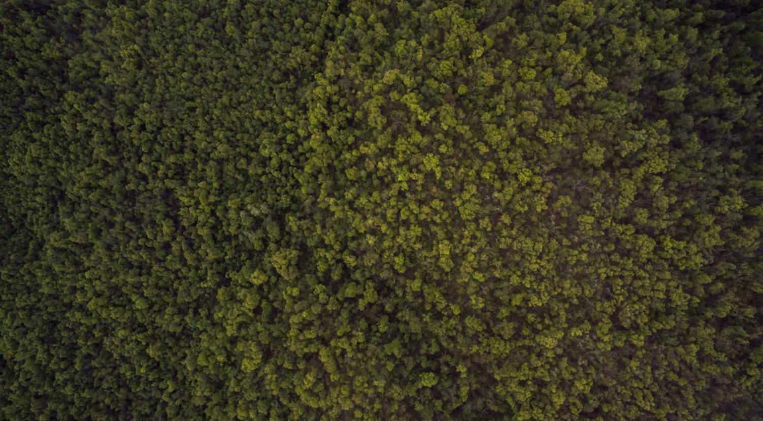 DDOS压力测试网页端|蜀山区注册代理记账协议