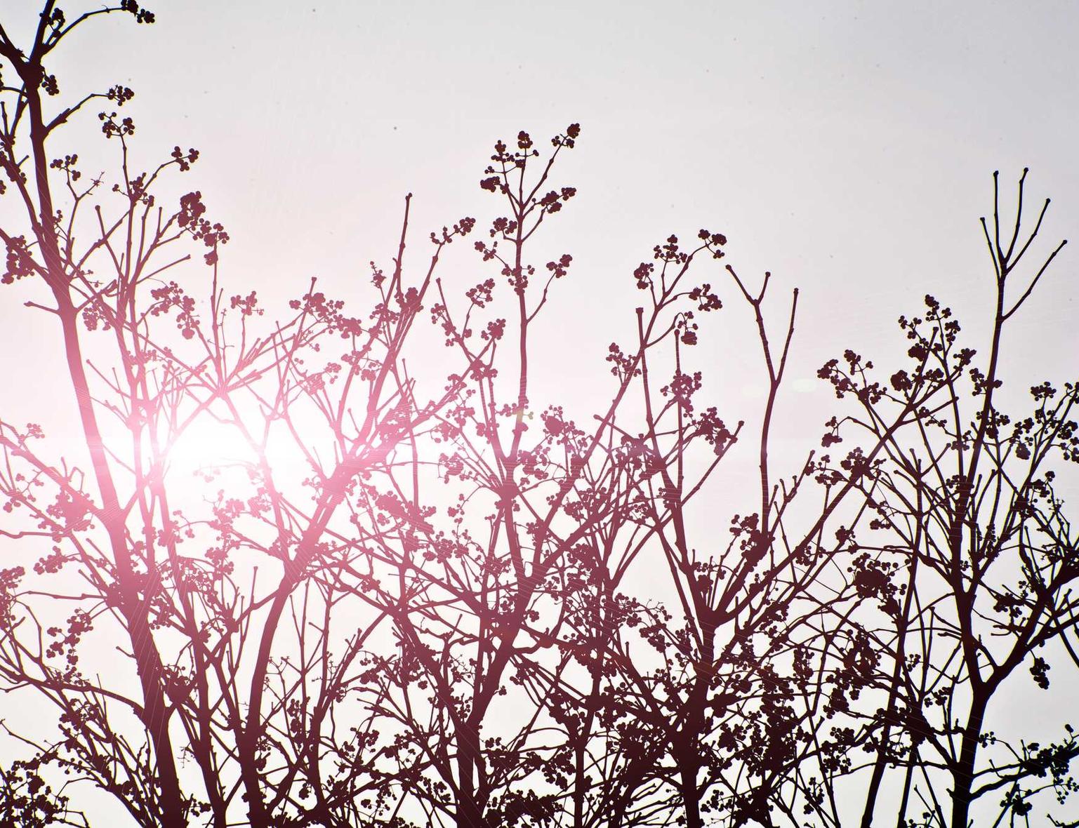 短信宝典:如何用短信和客户沟通。