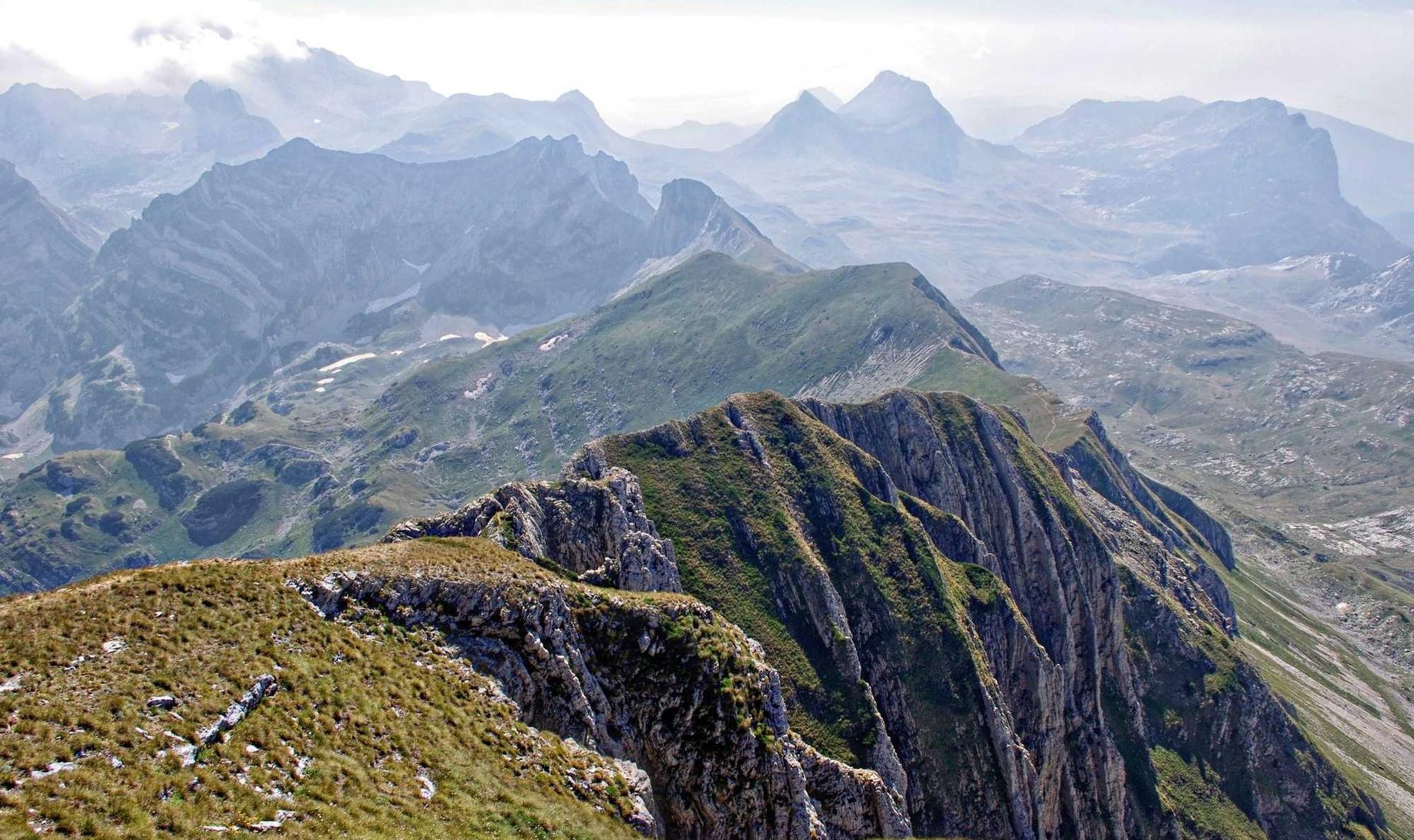高转化小说平台招代理