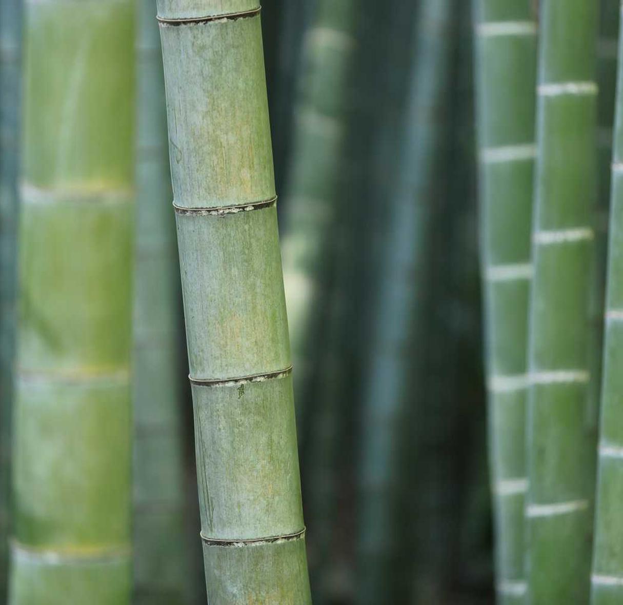 Peel百乐莫吉托爆珠：高端零食送礼推荐购买平台