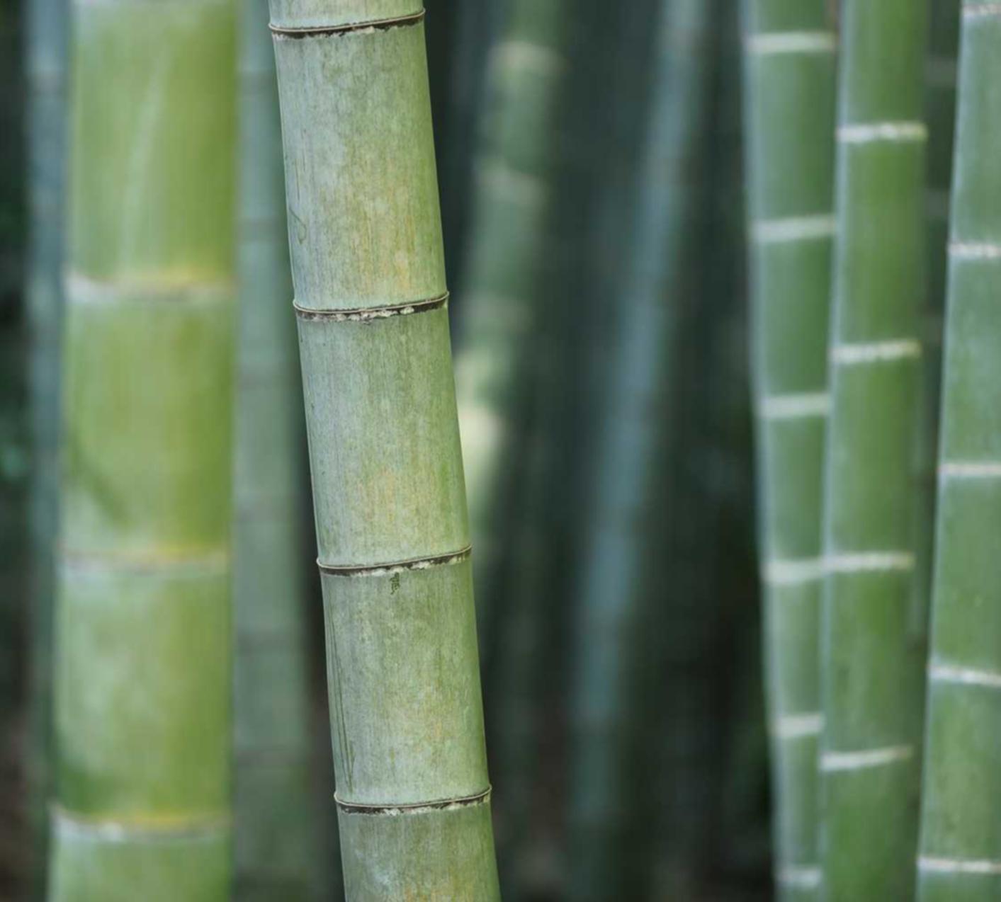 高校实训平台代理