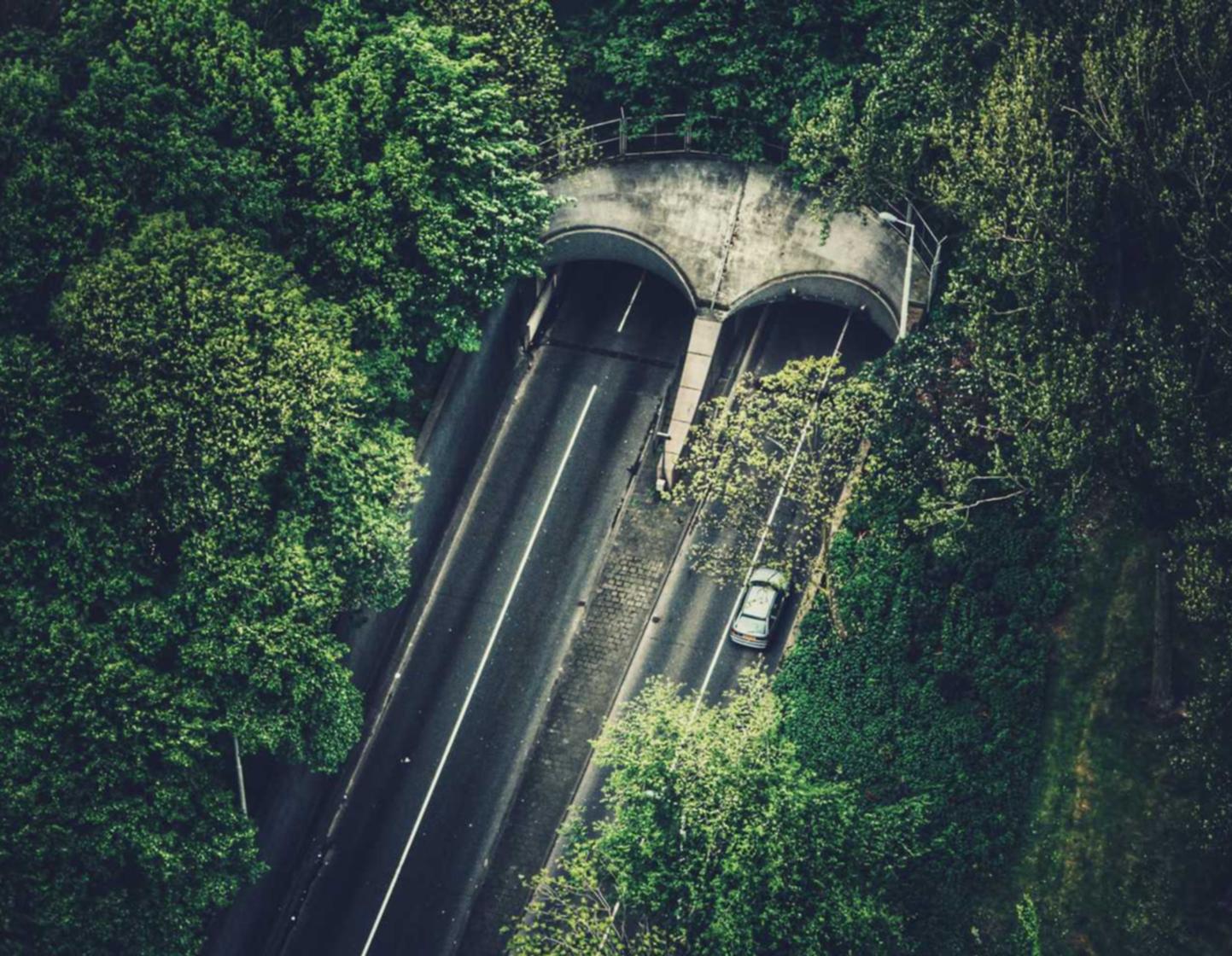 木盒红沉香(细):南京药物购买平台