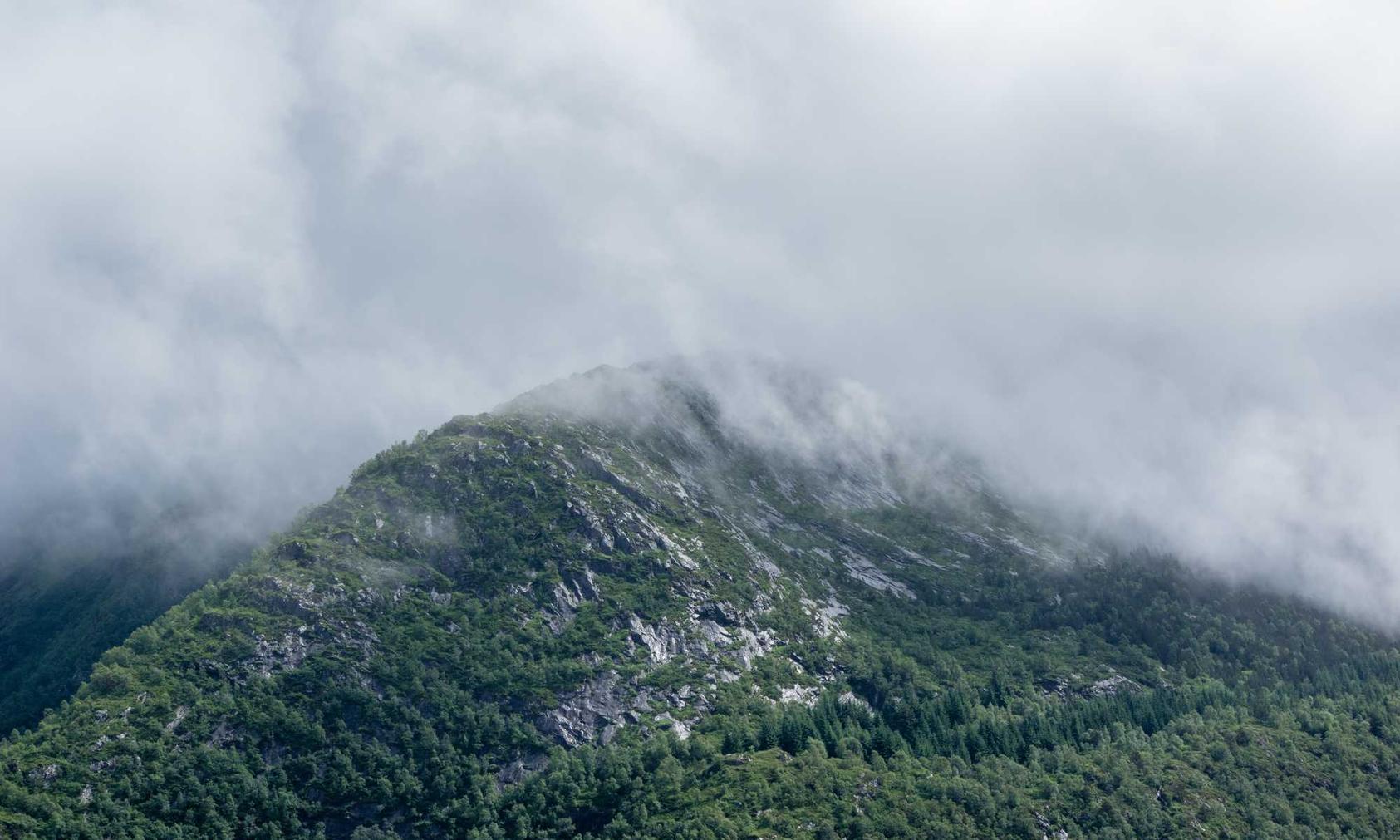 用短信营销提升您的客户群
