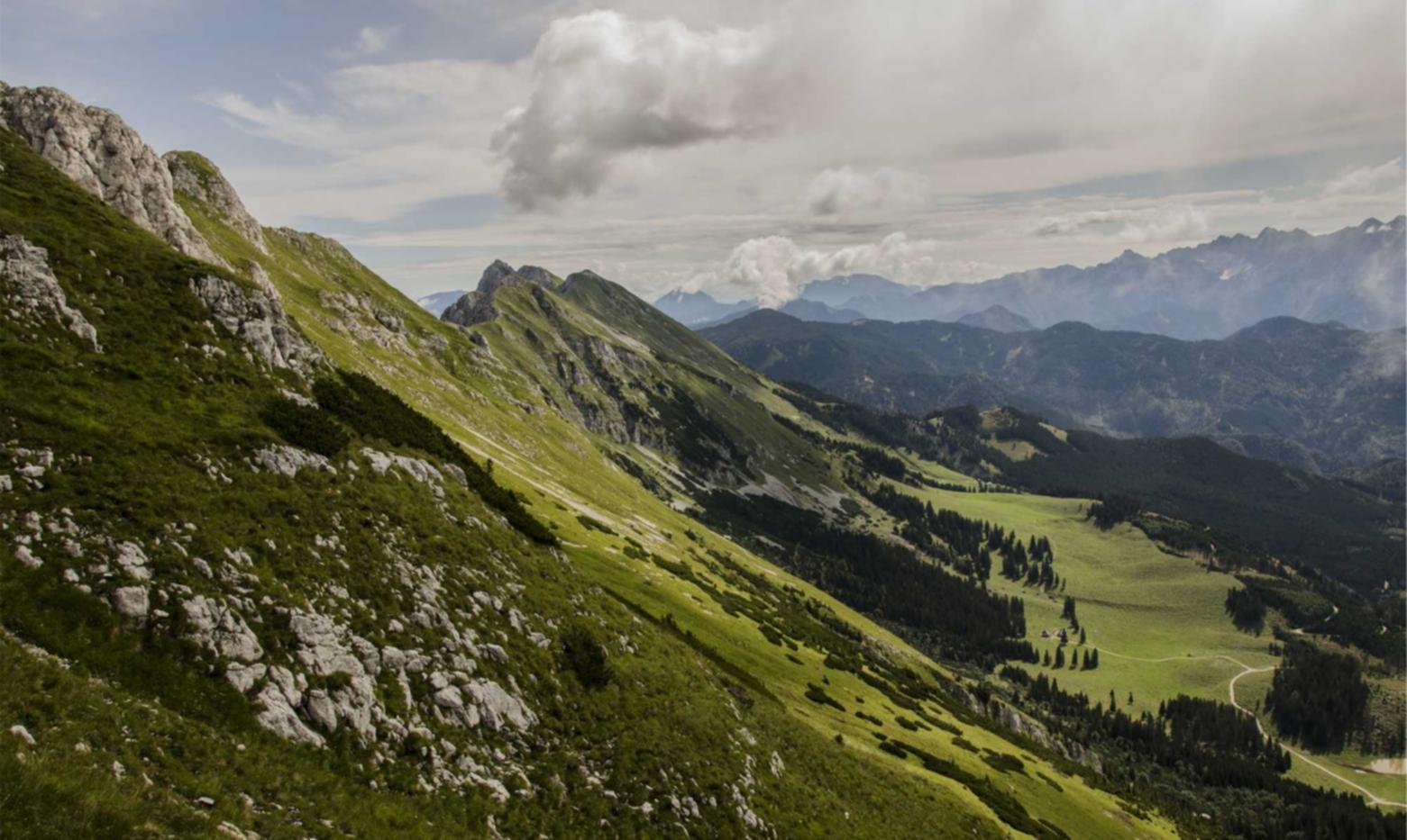如何使用呈现引擎优化来提高排名