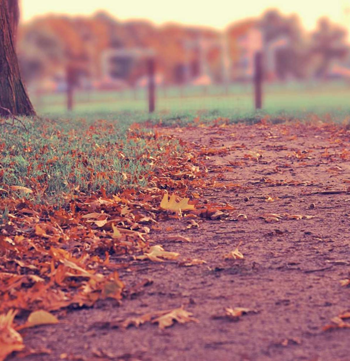 华宇房山代理注册执照费用
