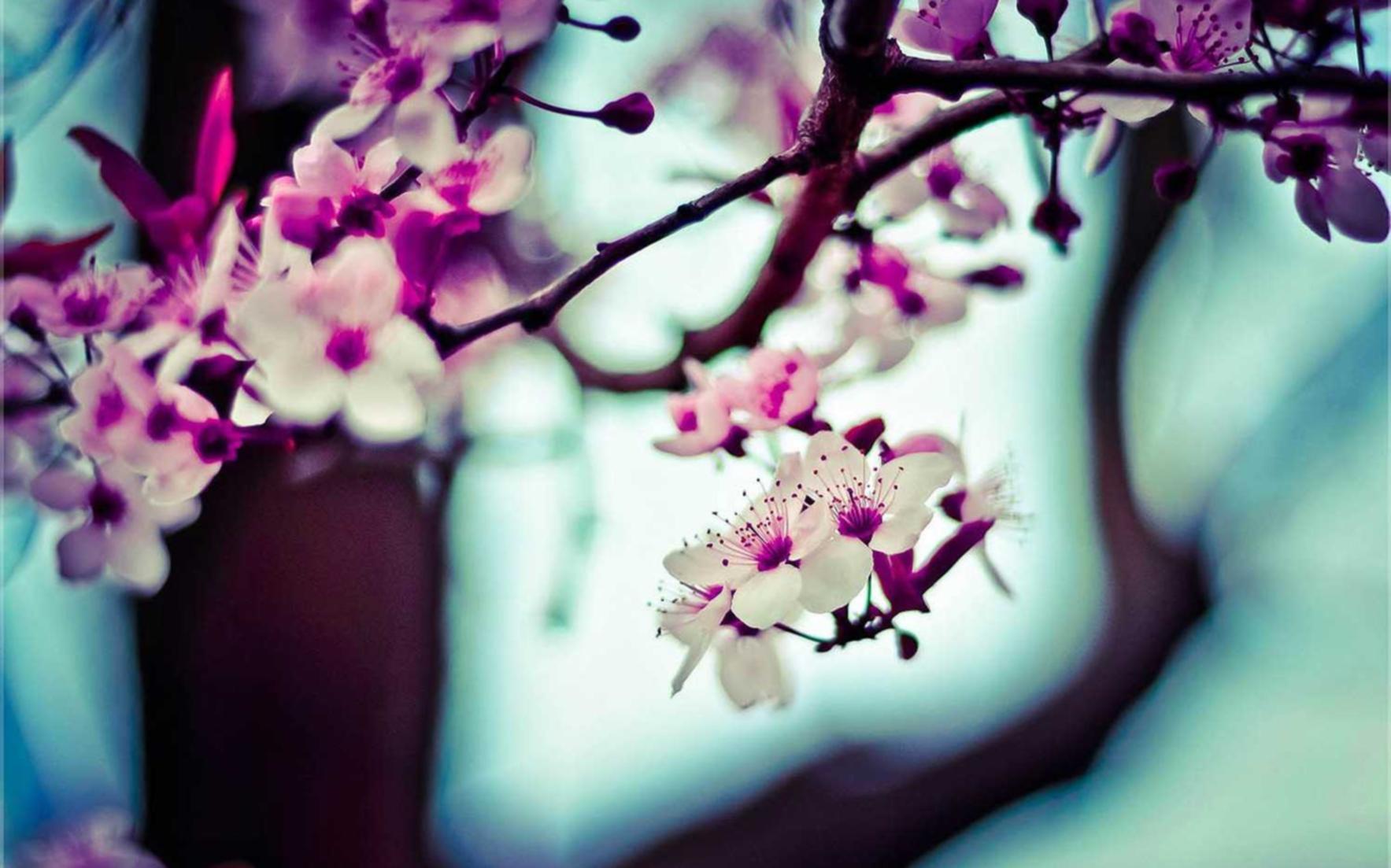 天龙八部宗师版：怎么找代理商注册微信