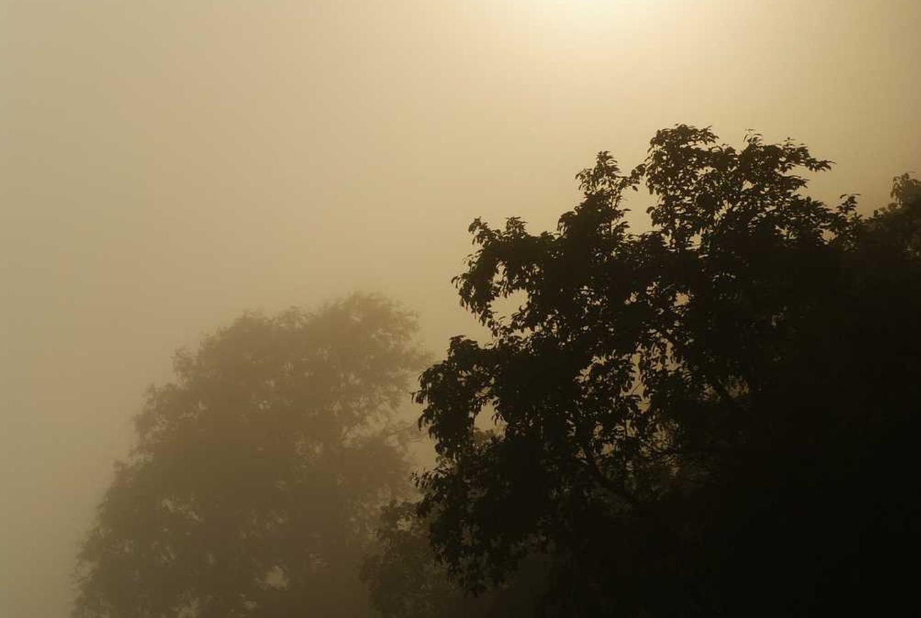 熊猫ip实名账号：营山公司注册代理品牌企业