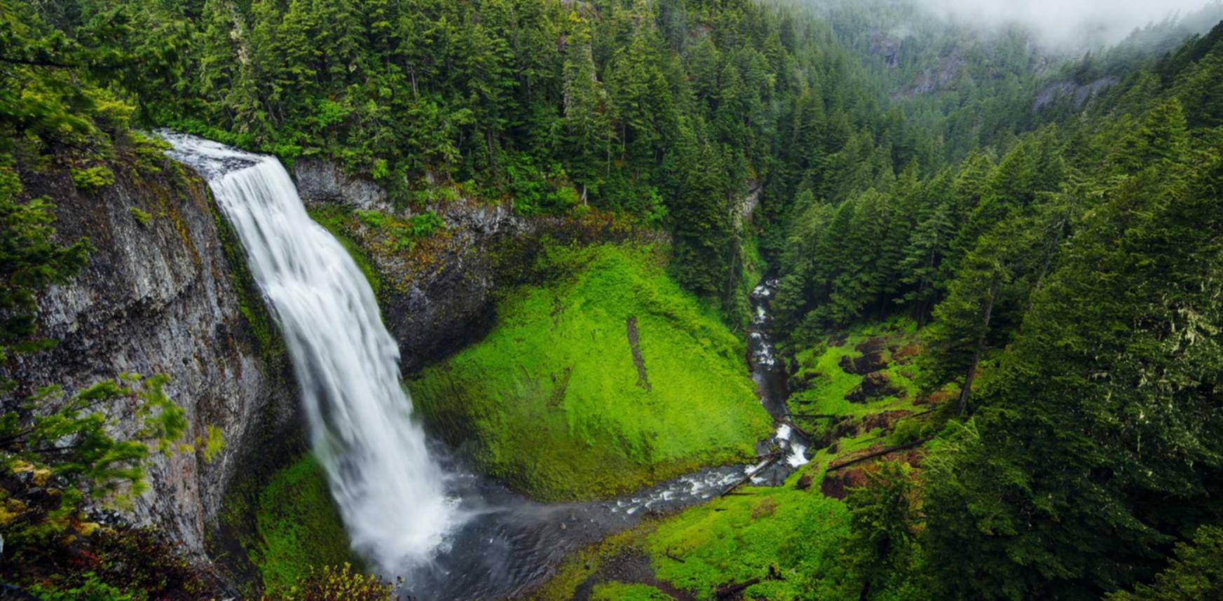 顺盈潮州西瓜平台开户公司电话