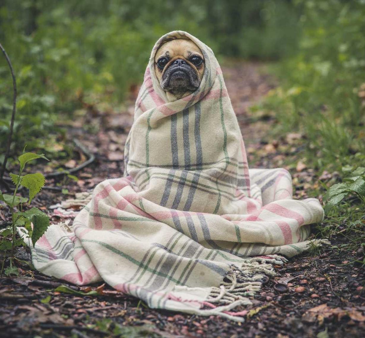 CC在线压力测试|重庆工商代理注册公司