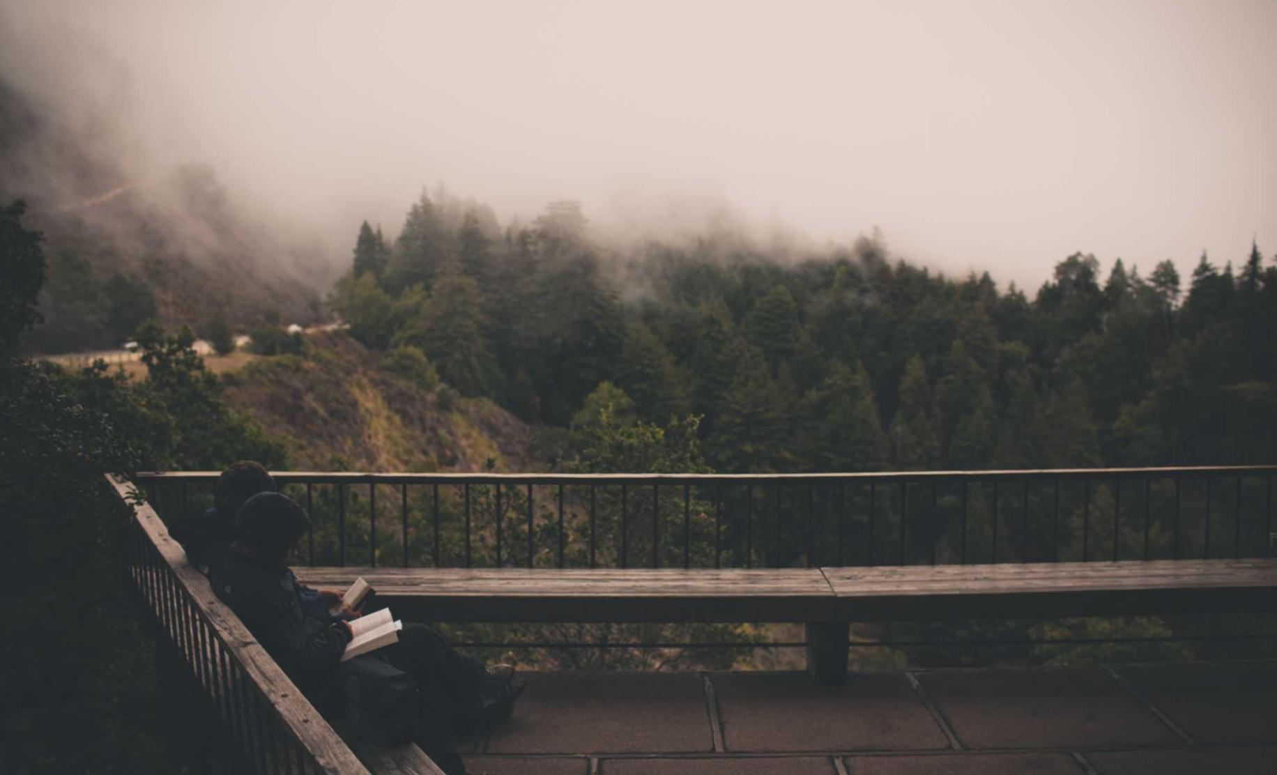 vx号出售：代理社交直播平台