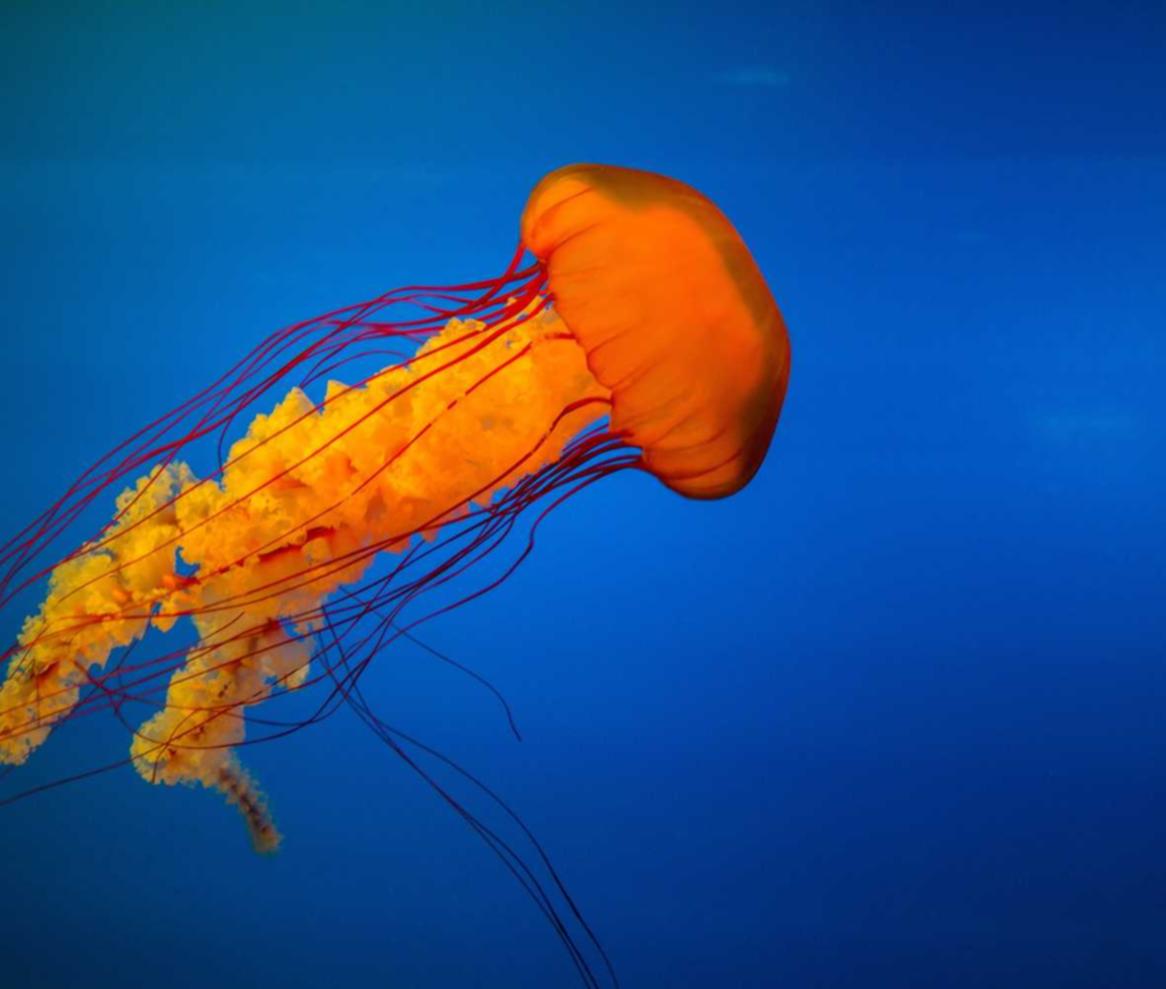 DDOS网页端源码|外汇哪儿平台开户