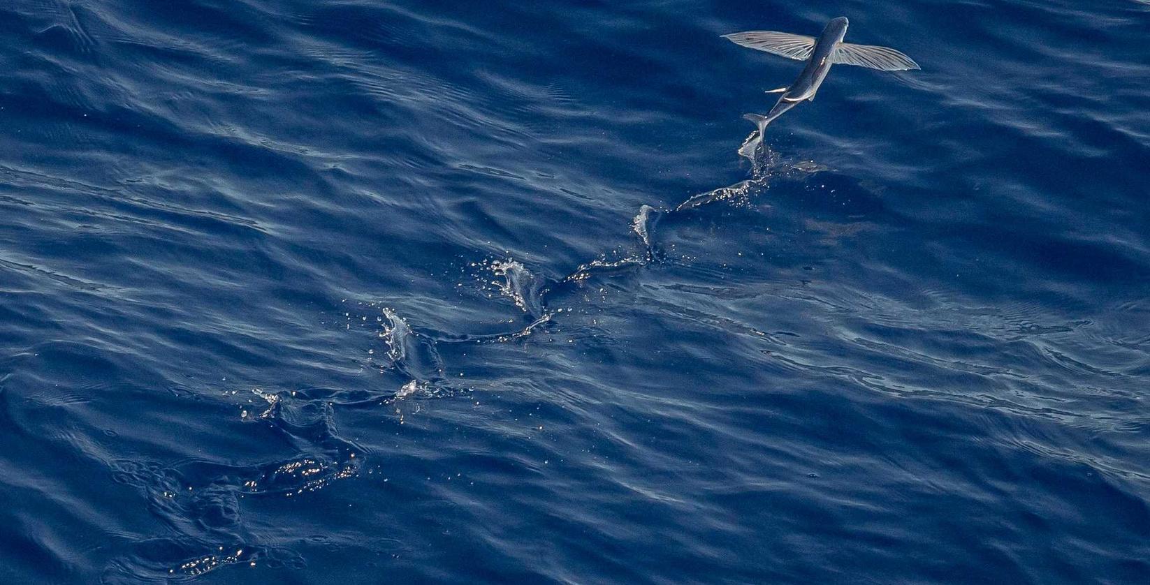 你了解游戏技术支持的运作原理吗?