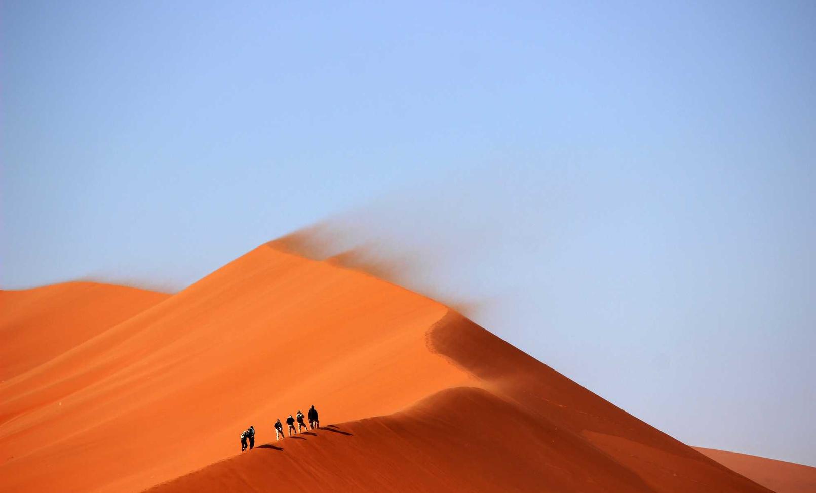 如何使用SEO来赢得本地市场