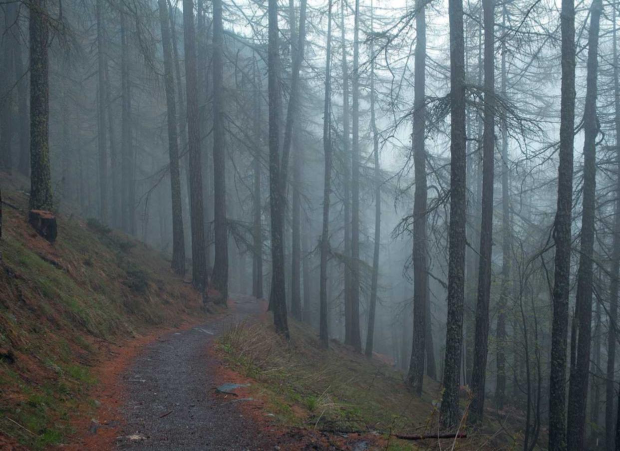 论如何利用香烟成分制作空气净化器