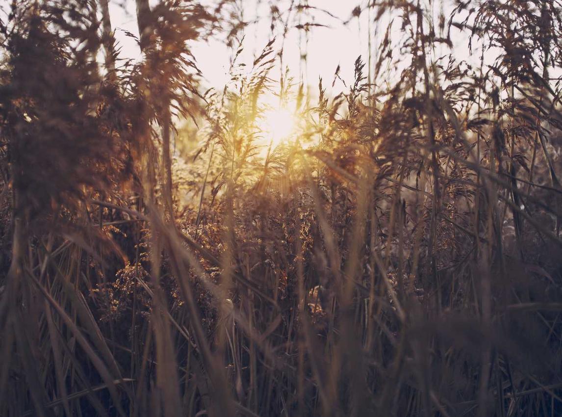 灵魂潮汐:法库代理报税记账服务平台