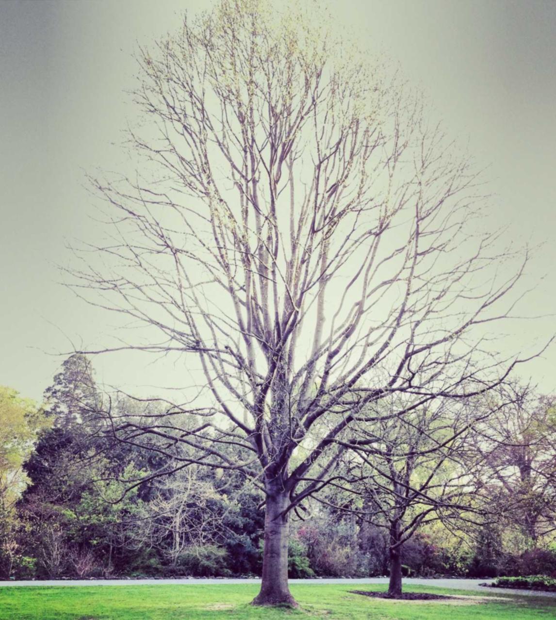 cc网页端|服装全平台优惠券代理