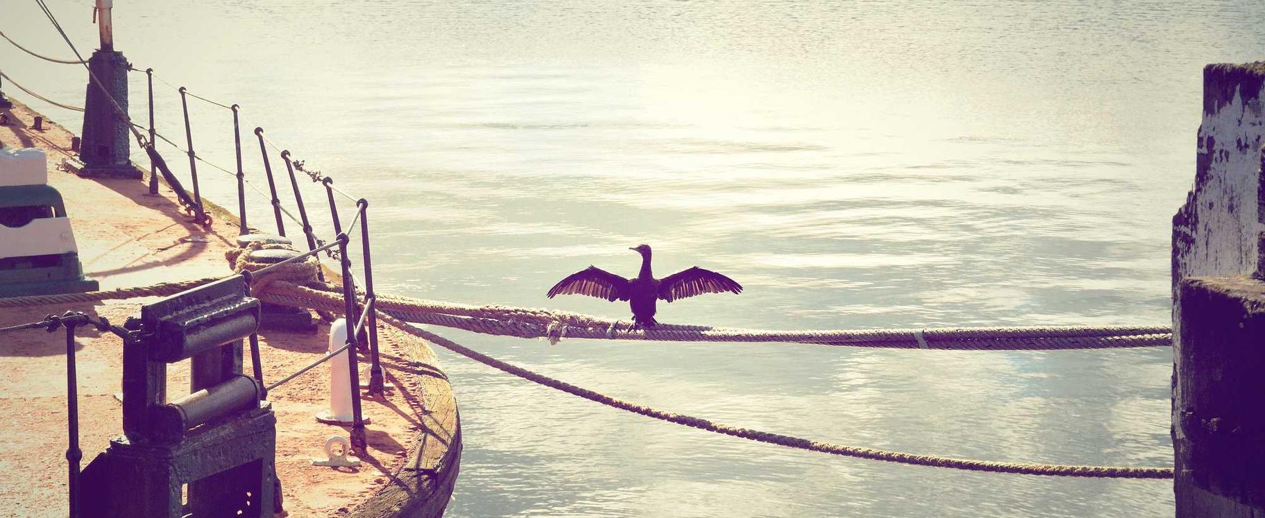 空之轨迹：vps购买平台