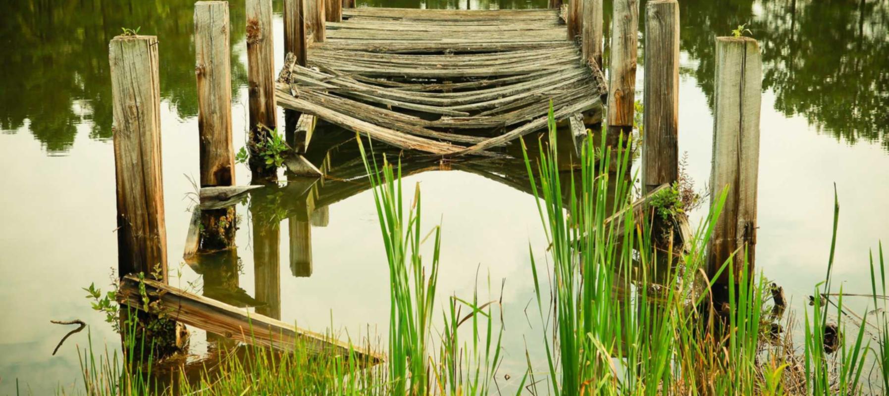 DogYun实名账号:电子票购买平台