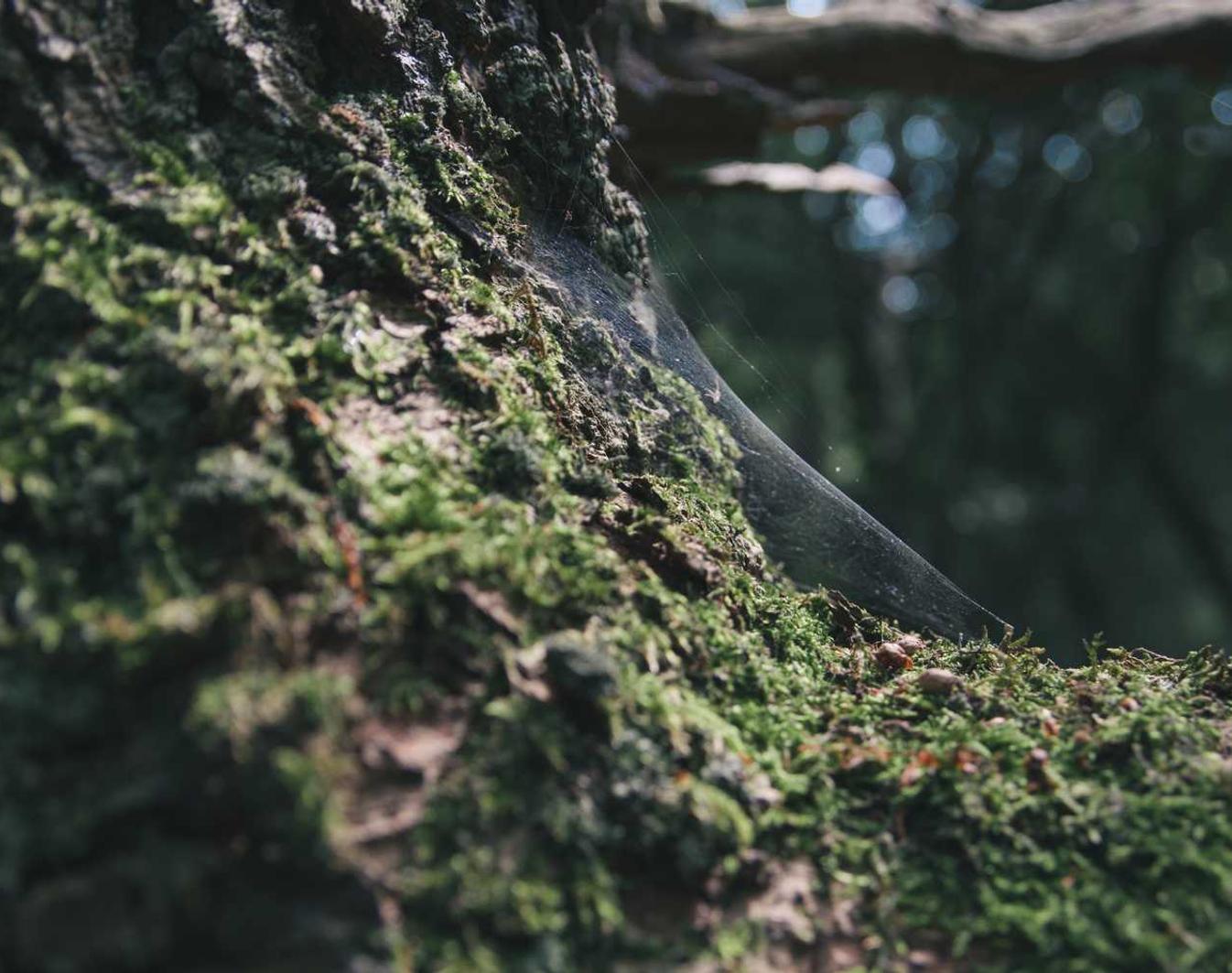 如何避免使用技术支持带来更多的问题？