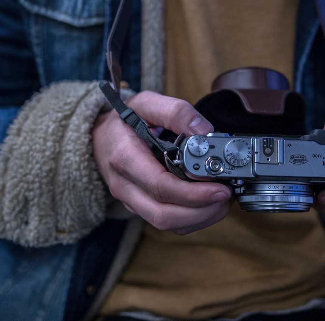 赤峰宠物购买平台