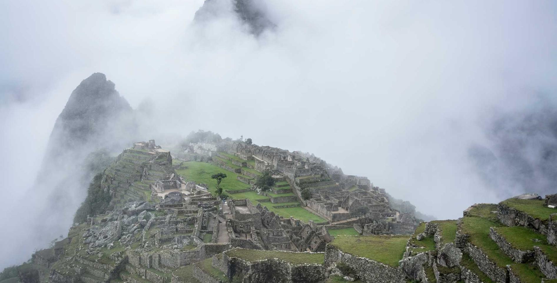 手游足球游戏辅助- 动感光波直播app详情下载教程