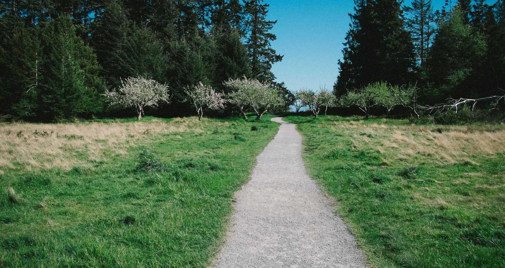 DDOS在线攻击|快声app详情下载教程