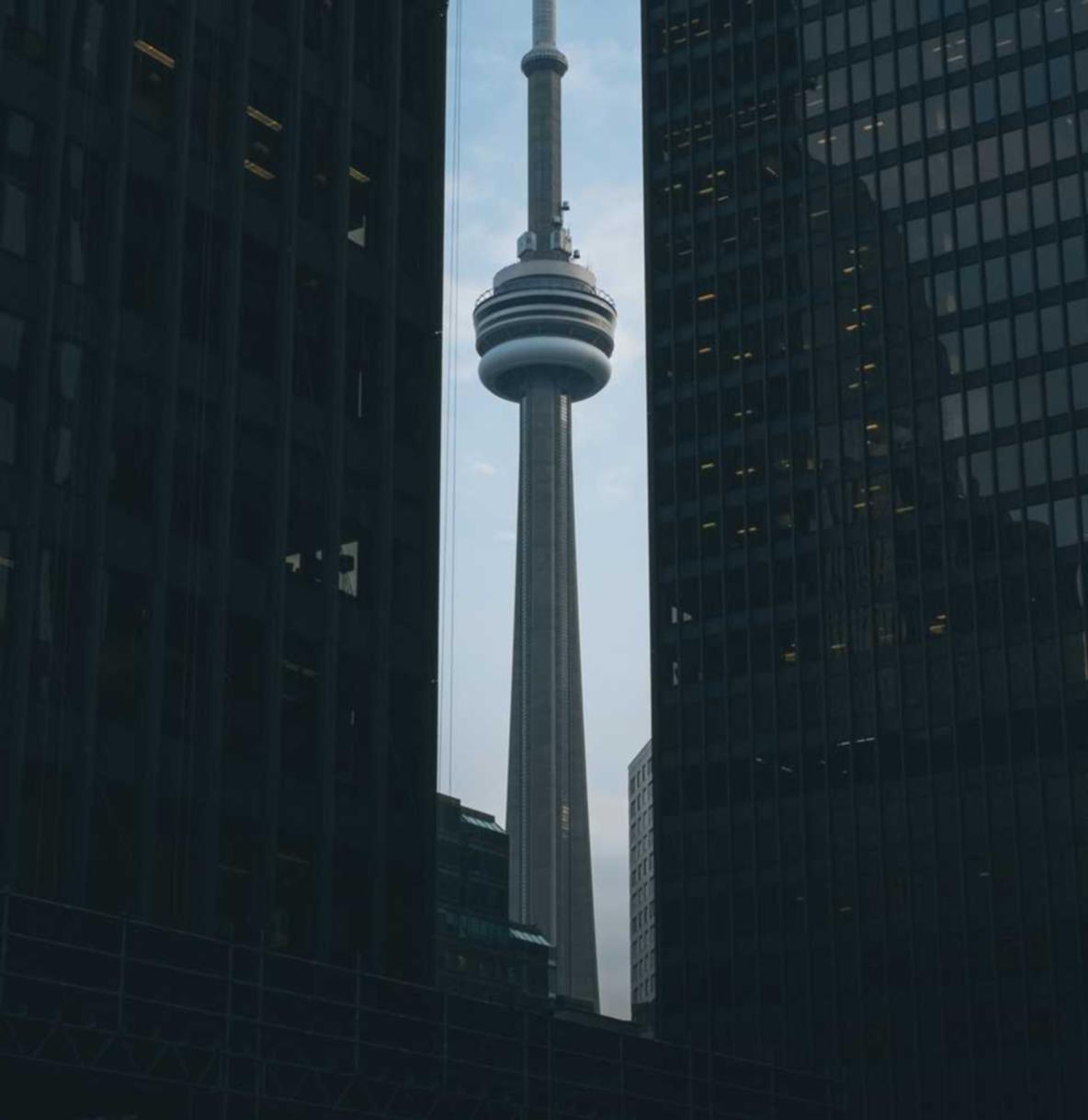 王牌战争：文明重启：外科口罩购买平台